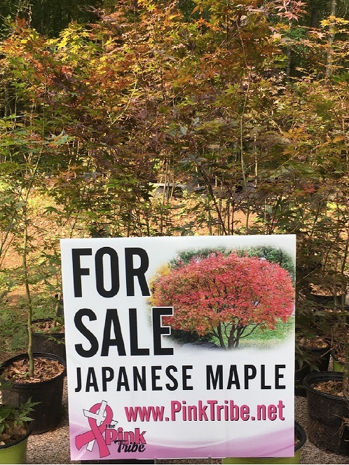 sign